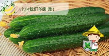 吃瓜十八第六集免费观看,揭秘幕后真相,免费观看大揭秘! 第1张 吃瓜十八第六集免费观看,揭秘幕后真相,免费观看大揭秘! 第1张