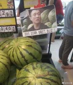 瓜哥免费吃瓜,揭秘娱乐圈幕后真相  第1张